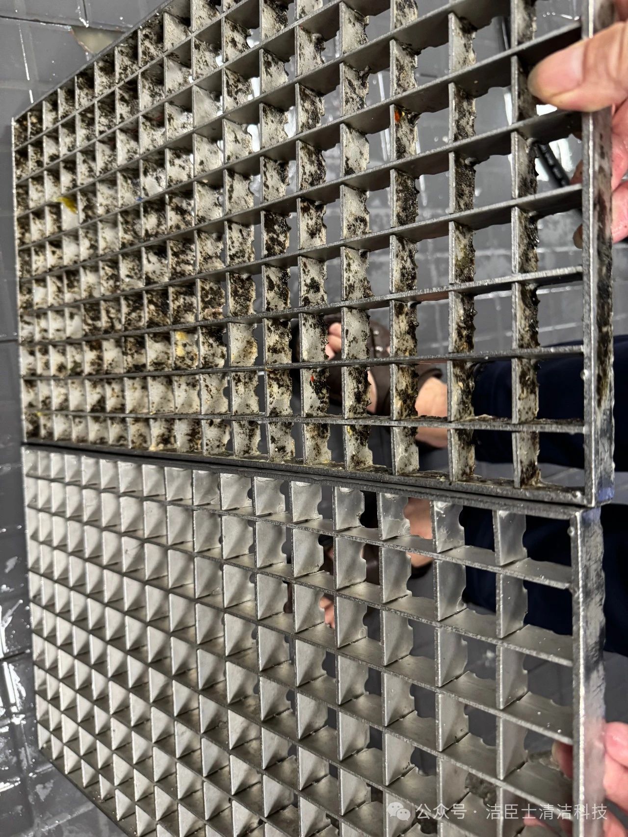 1742457778731540.jpg 1742457778731540.jpg